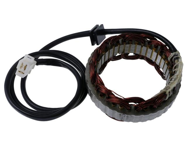 Lichtmaschine   Stator