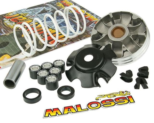 Variator Malossi Multivar 2000